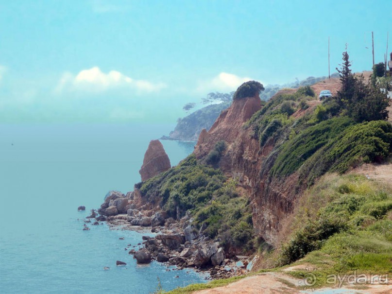 Солнечная Кассандра