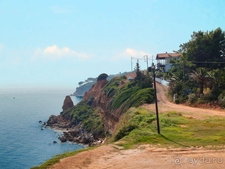 Солнечная Кассандра