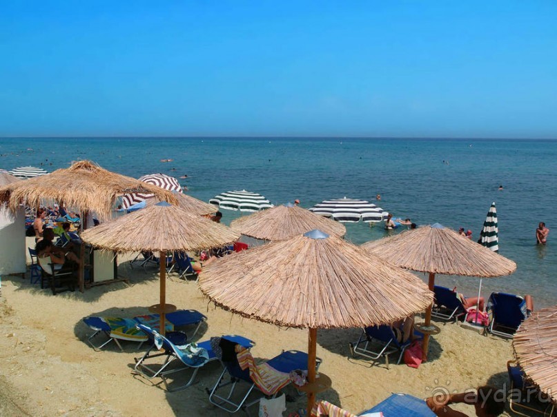 Солнечная Кассандра