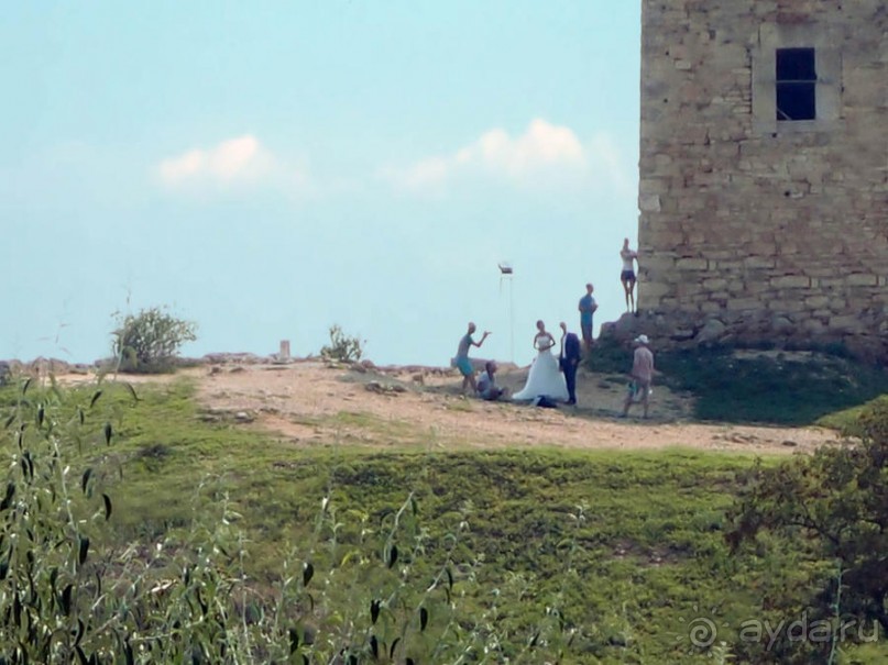 Солнечная Кассандра