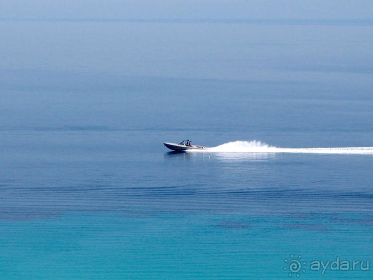 Солнечная Кассандра