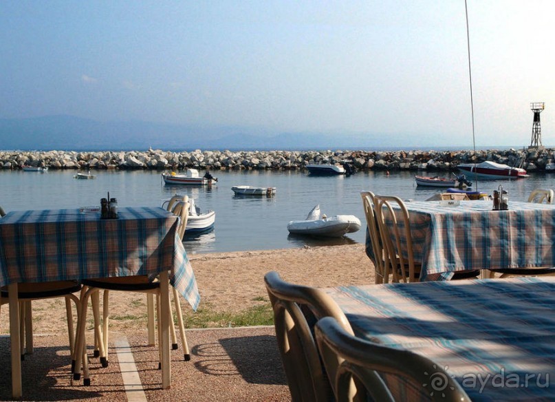 Солнечная Кассандра