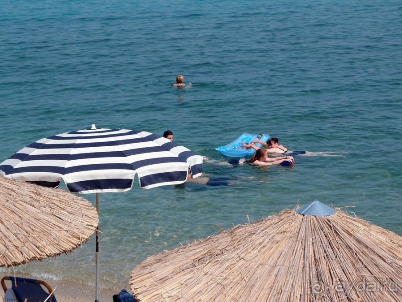 Солнечная Кассандра