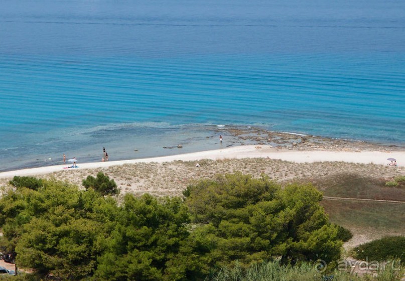 Солнечная Кассандра