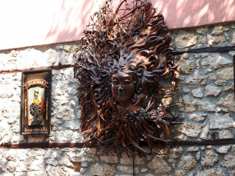 Солнечная Кассандра