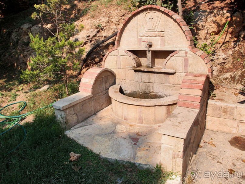 Солнечная Кассандра