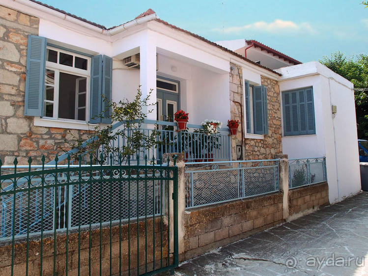 Солнечная Кассандра