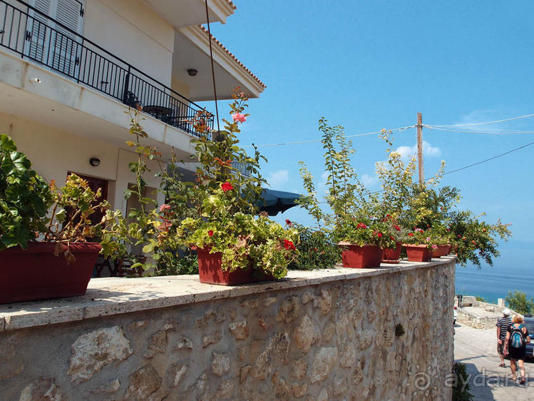 Солнечная Кассандра