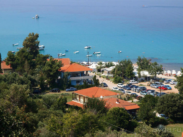 Солнечная Кассандра