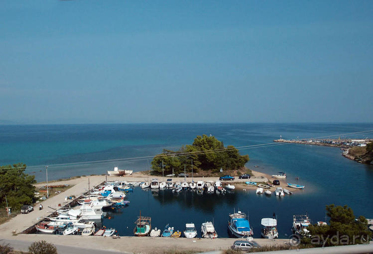 Солнечная Кассандра