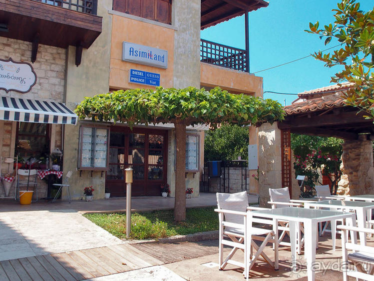 Солнечная Кассандра