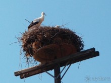 Греция. Релакс. Водные процедуры
