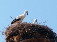 Греция. Релакс. Водные процедуры