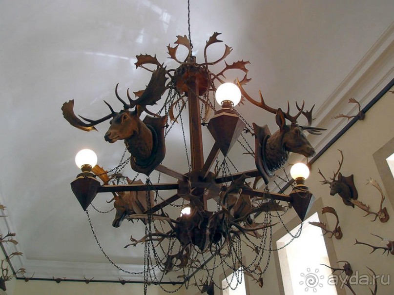 Грандиозная Мафра