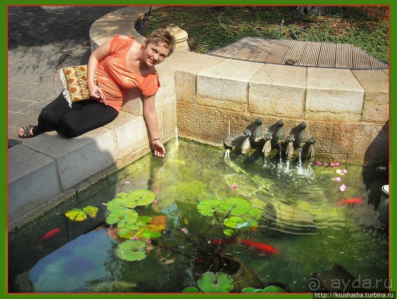 Весь Капернаум. Святые места в Верхней Галлилее