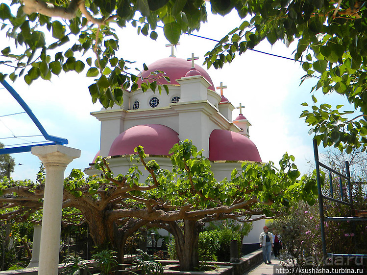 Весь Капернаум. Святые места в Верхней Галлилее