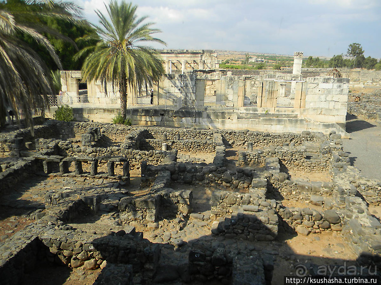 Весь Капернаум. Святые места в Верхней Галлилее