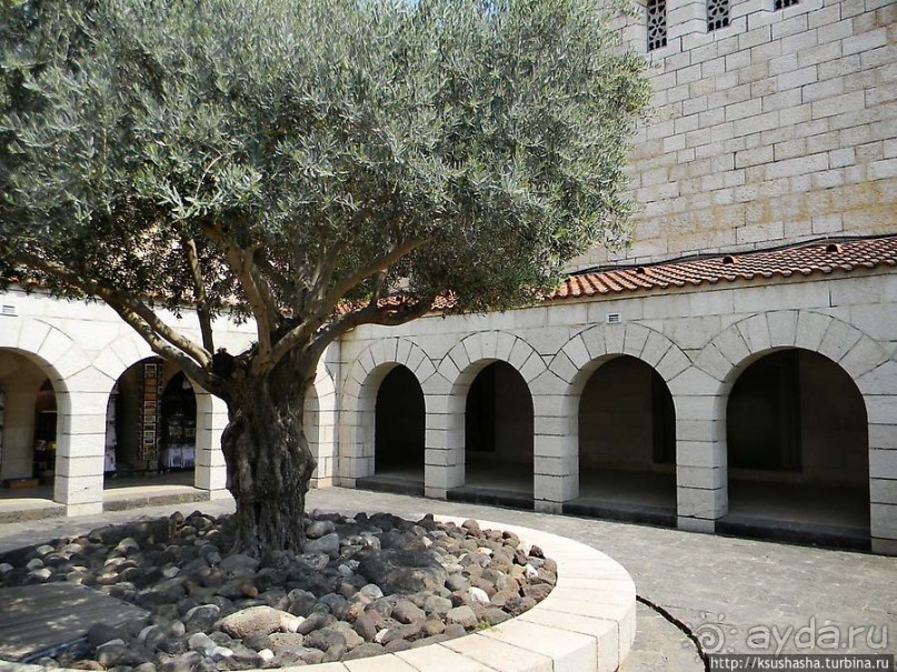 Весь Капернаум. Святые места в Верхней Галлилее