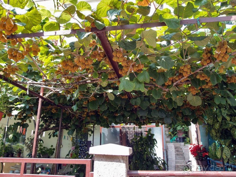 Пещерные церкви Калишты и Радожды