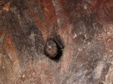 Пещерные церкви Калишты и Радожды