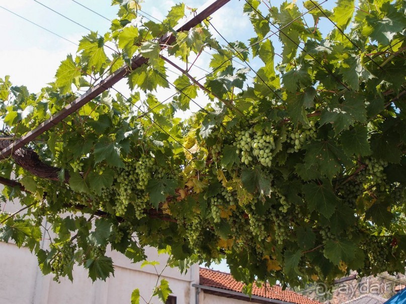 Пещерные церкви Калишты и Радожды