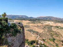 Альбом отзыва "Родина корриды"