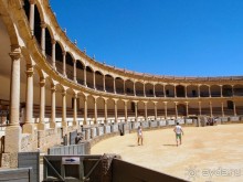 Альбом отзыва "Родина корриды"