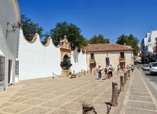 Альбом отзыва "Родина корриды"