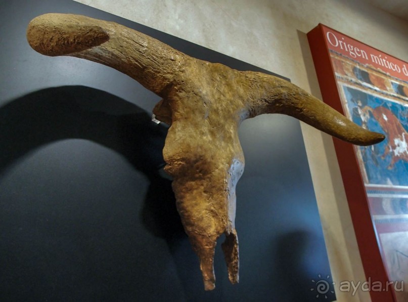 Родина корриды