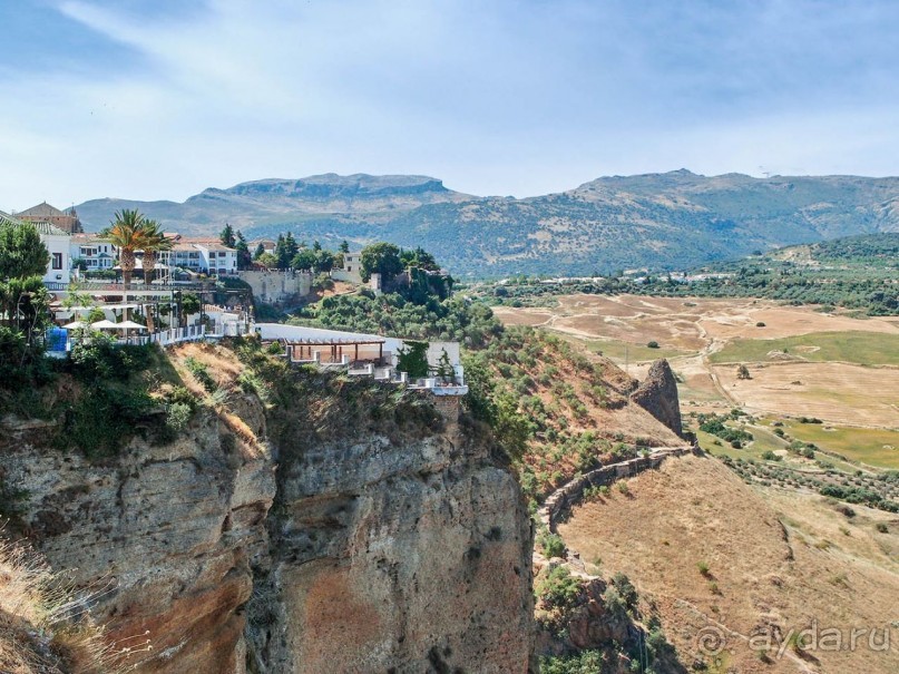 Альбом отзыва "Родина корриды"