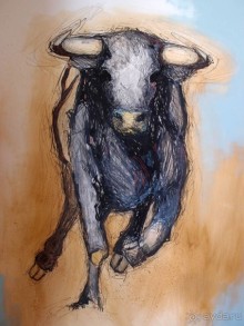 Родина корриды