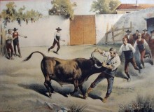 Родина корриды