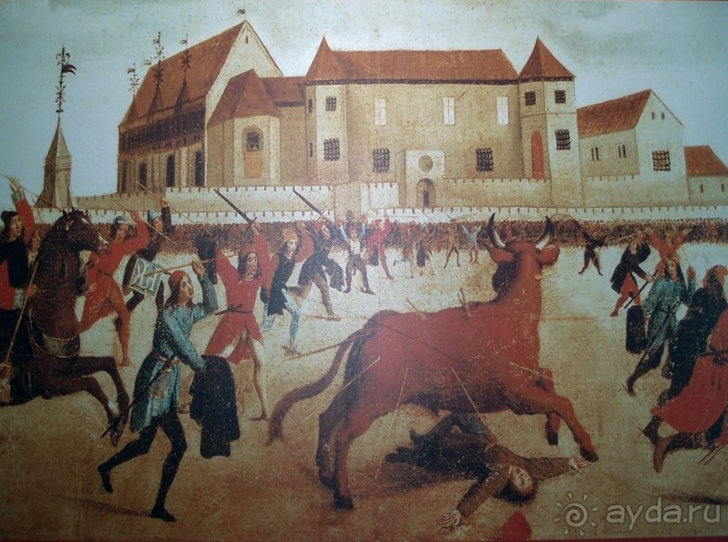 Родина корриды