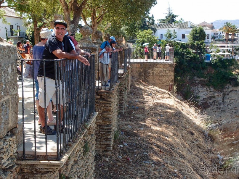 Альбом отзыва "Родина корриды"