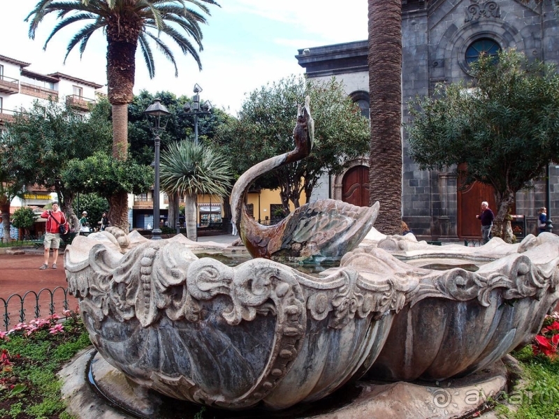 Поймать волну Пуэрто-де-ла-Крус 