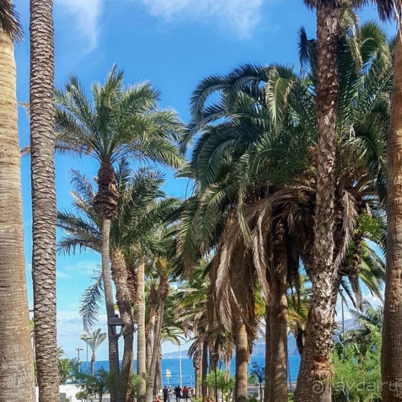 Поймать волну Пуэрто-де-ла-Крус 