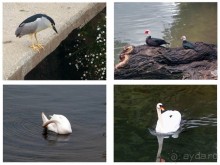 Город Крестоносцев на реке Набао