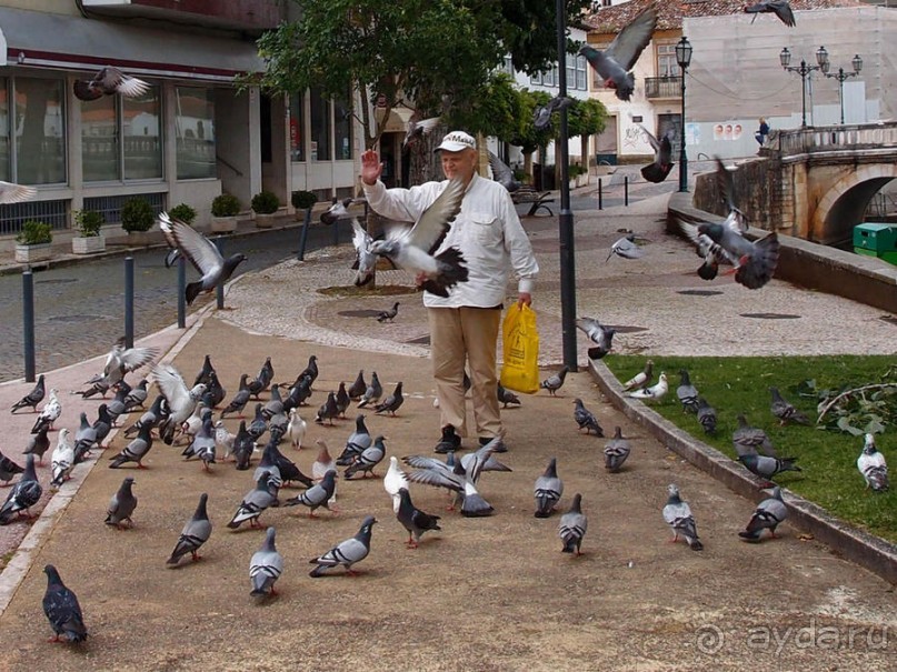 Город Крестоносцев на реке Набао
