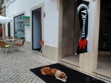 Город Крестоносцев на реке Набао