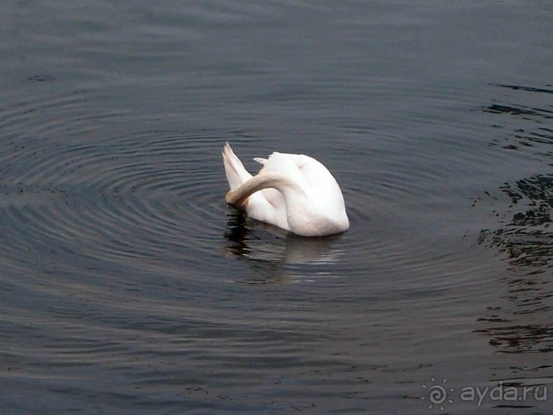 Город Крестоносцев на реке Набао