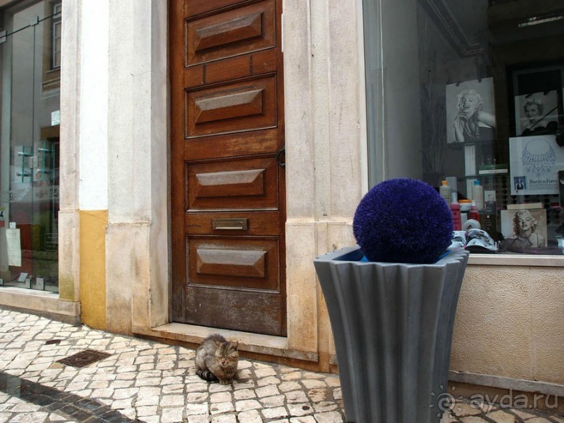 Город Крестоносцев на реке Набао