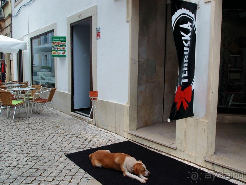 Город Крестоносцев на реке Набао