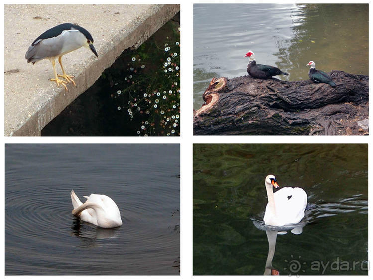 Город Крестоносцев на реке Набао