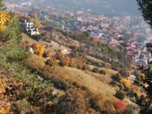 Солнечный Брашов. Зарисовки осеннего дня