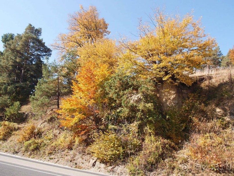 Солнечный Брашов. Зарисовки осеннего дня