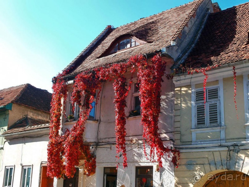 Солнечный Брашов. Зарисовки осеннего дня