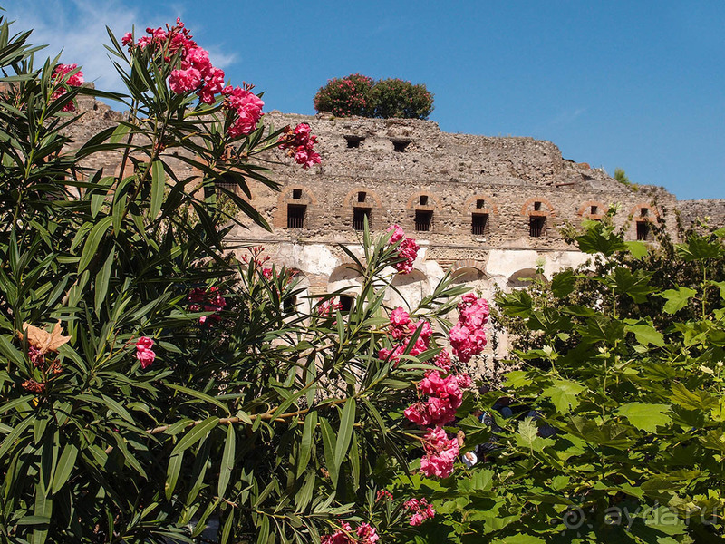 Помпеи. Вечное тоже меняется