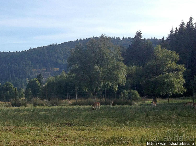 Развлечения и злоключения в окрестностях Тодмоса