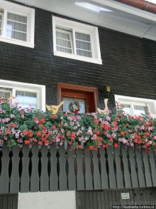 Развлечения и злоключения в окрестностях Тодмоса