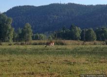 Развлечения и злоключения в окрестностях Тодмоса
